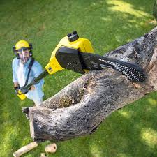 Best Sod Installation  in Lakeland South, WA